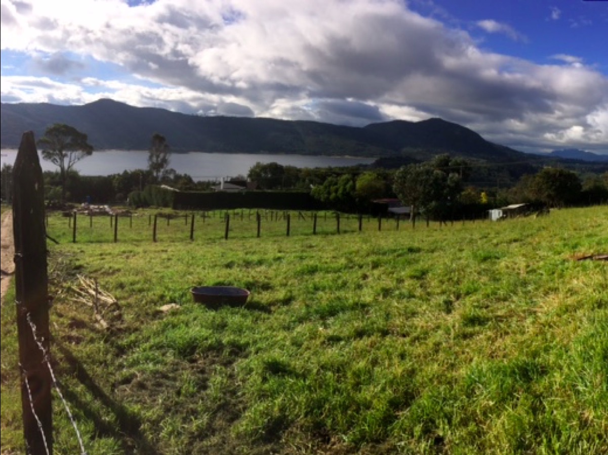 Lote de 1.300m2 con vista al embalse de San Rafael, La Calera