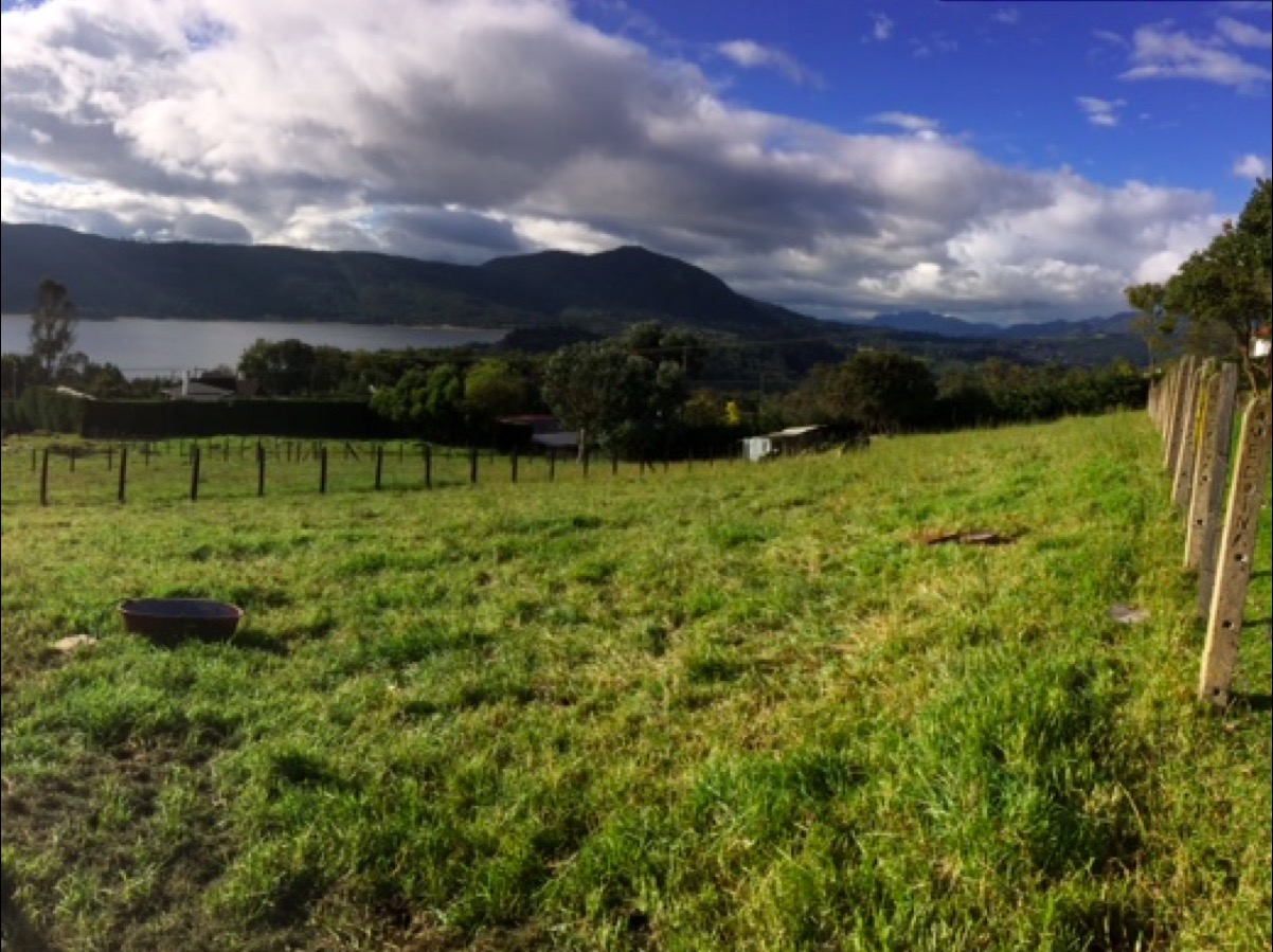 Lote de 1.300m2 con vista al embalse de San Rafael, La Calera