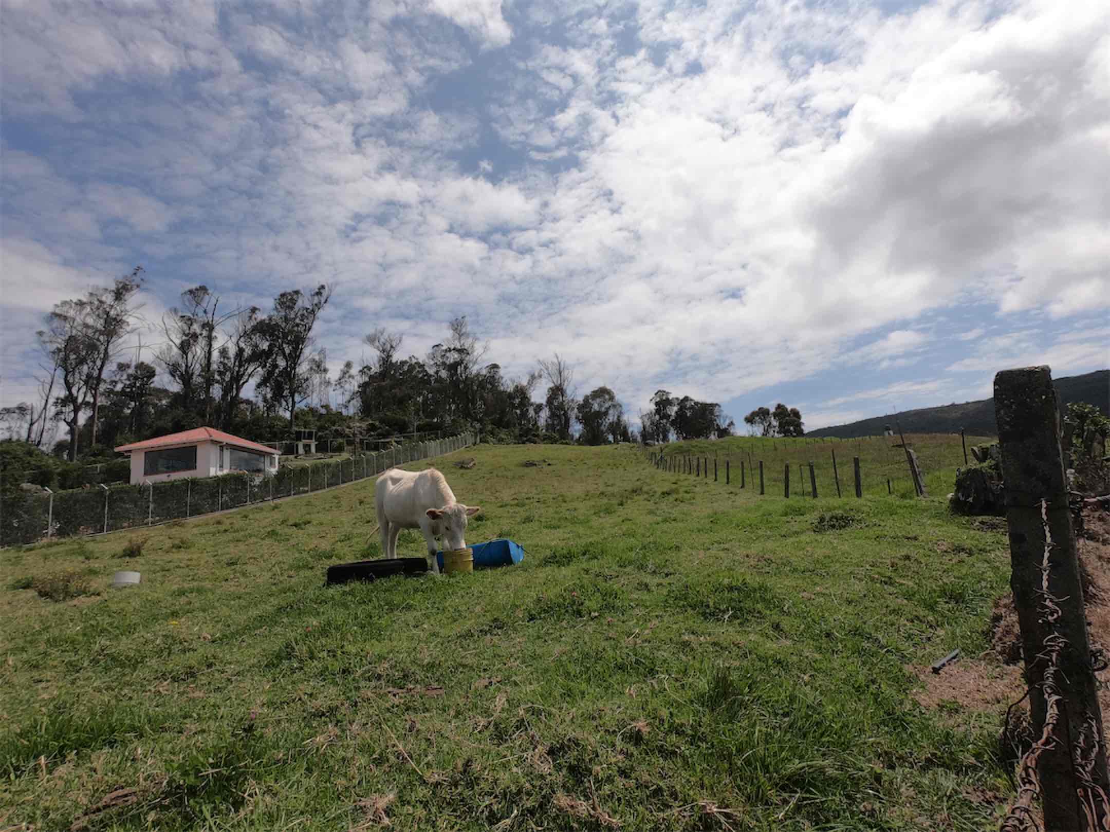 Bien ubicado y con linda vista. 3.790 m2 en San Rafael, La calera