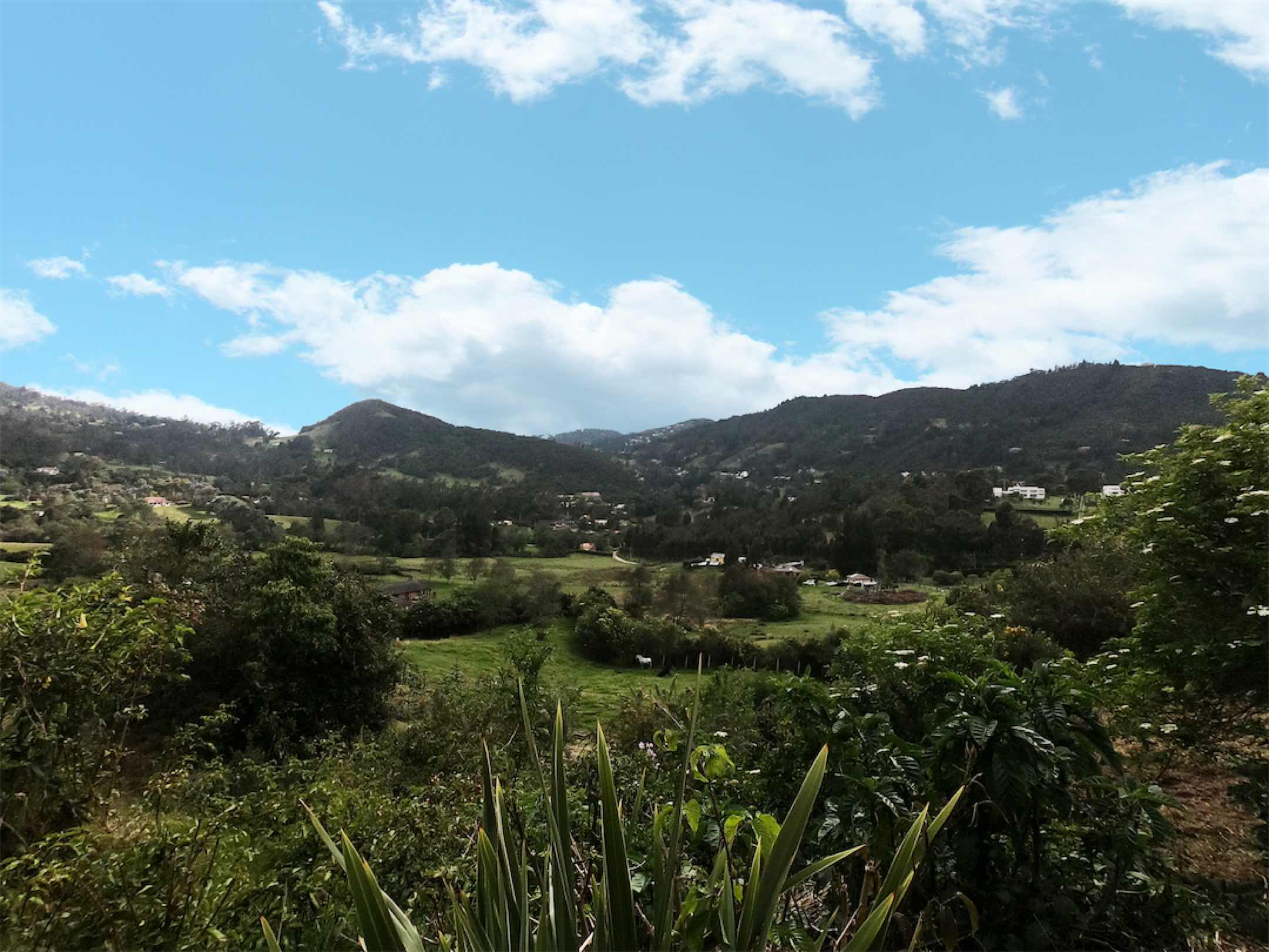 Lindo lote de 10.000 m2 en Casa de Teja, El Salitre – La Calera