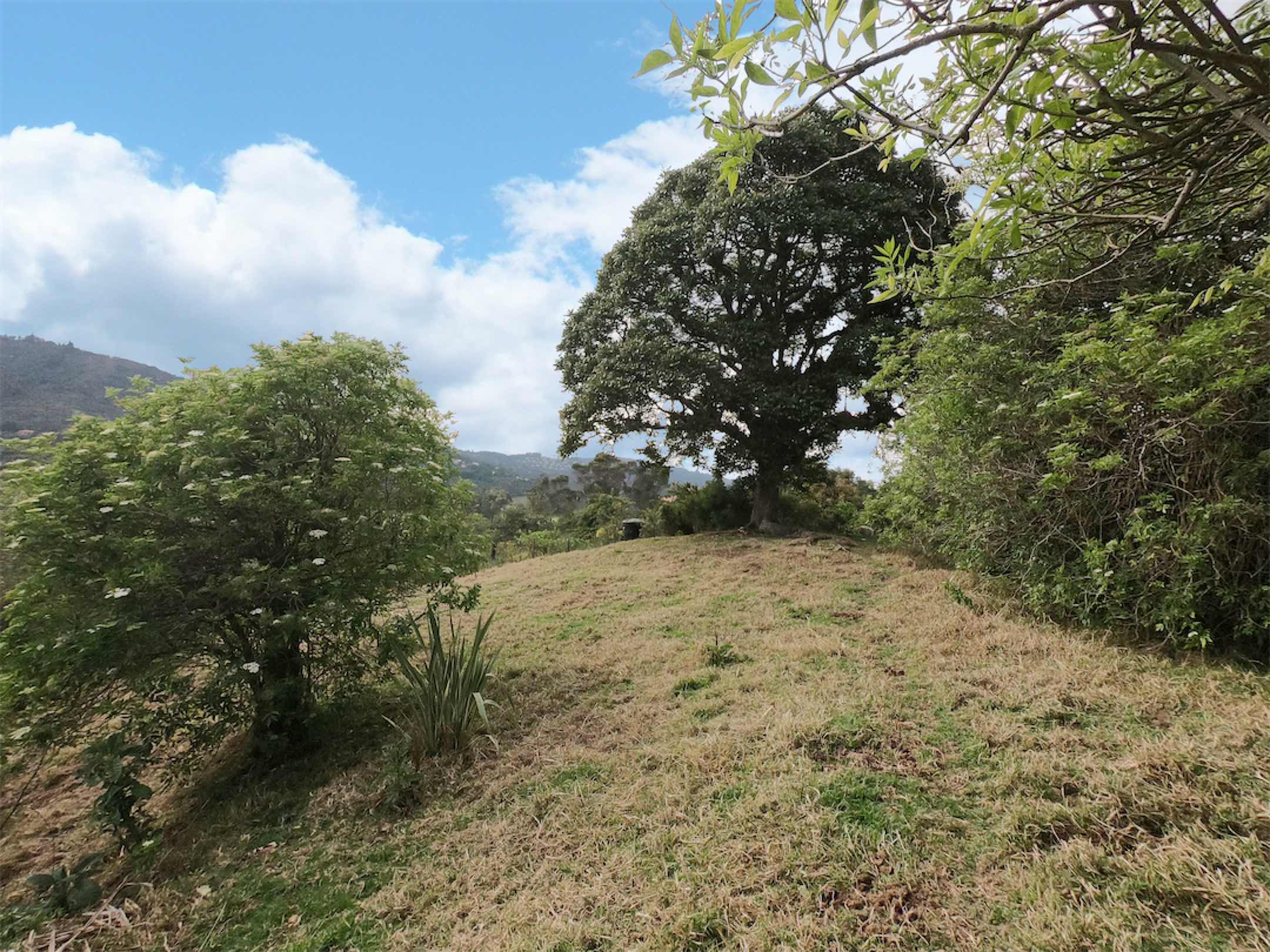Lindo lote de 10.000 m2 en Casa de Teja, El Salitre – La Calera
