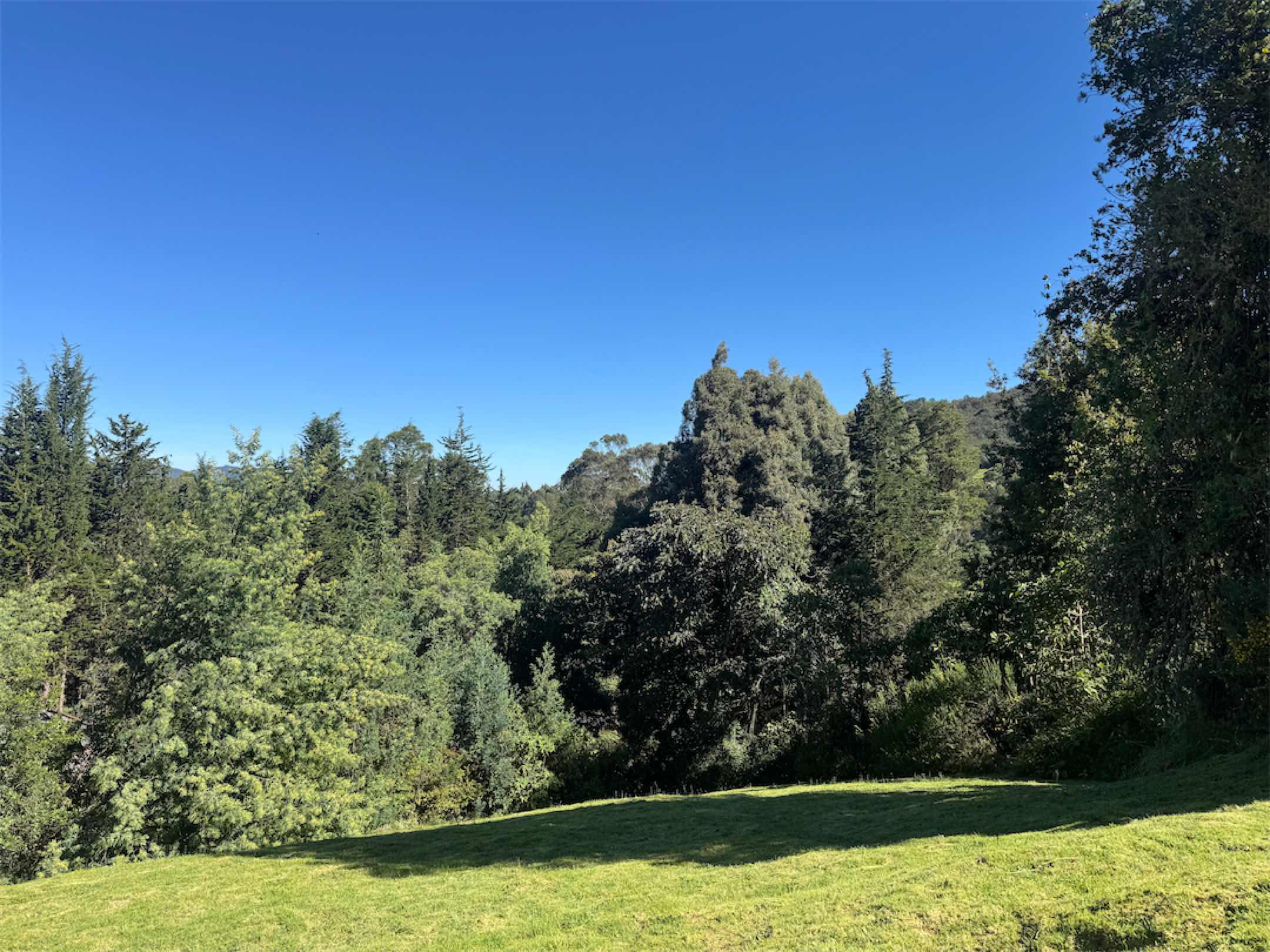 El mejor lugar para la casa de tus sueños. Altos de Potosí, La Calera – Cundinamarca
