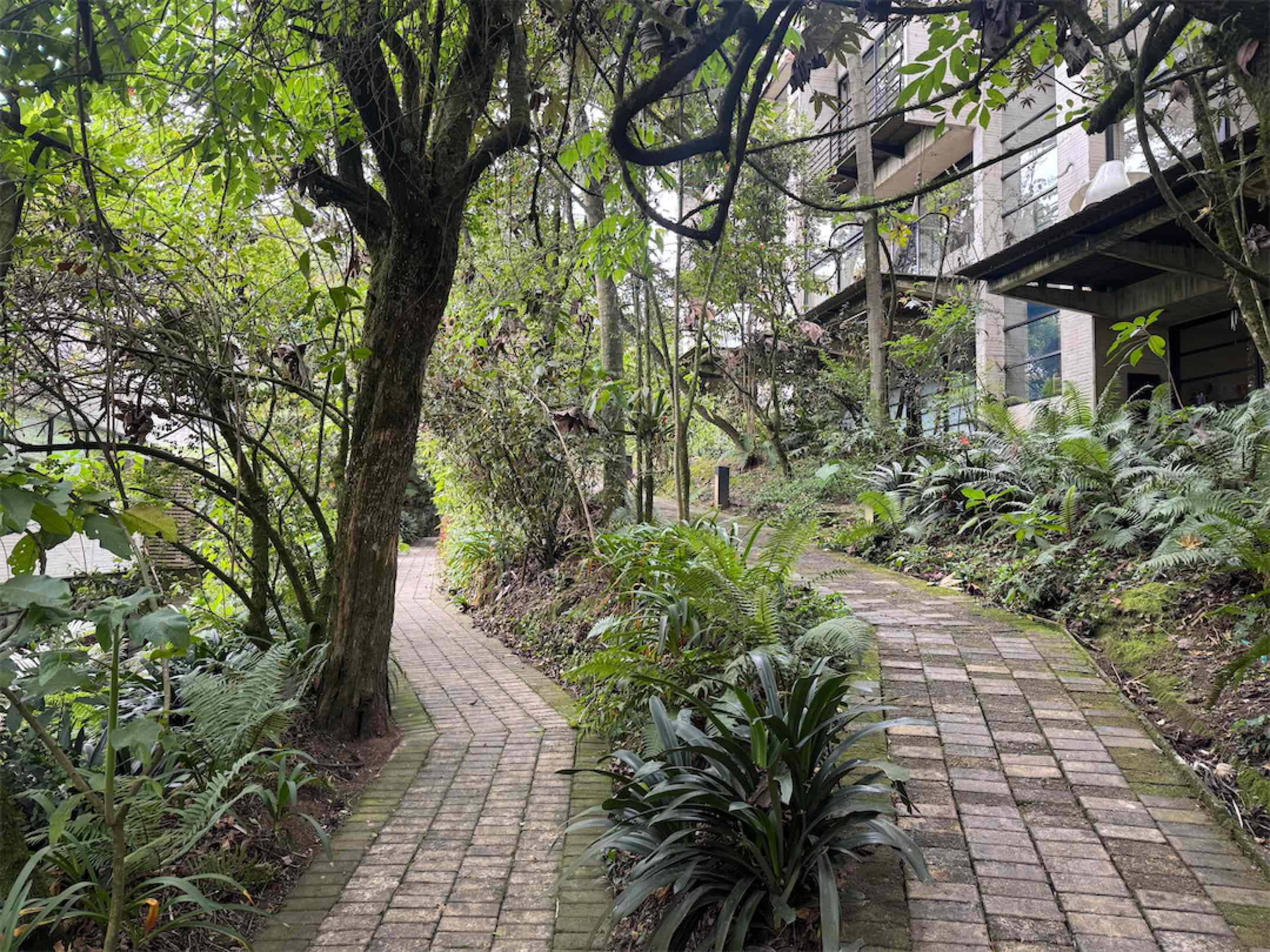 Una obra arquitectónica de 250m2 en medio de la naturaleza. Niquia, Provenza – Bogotá