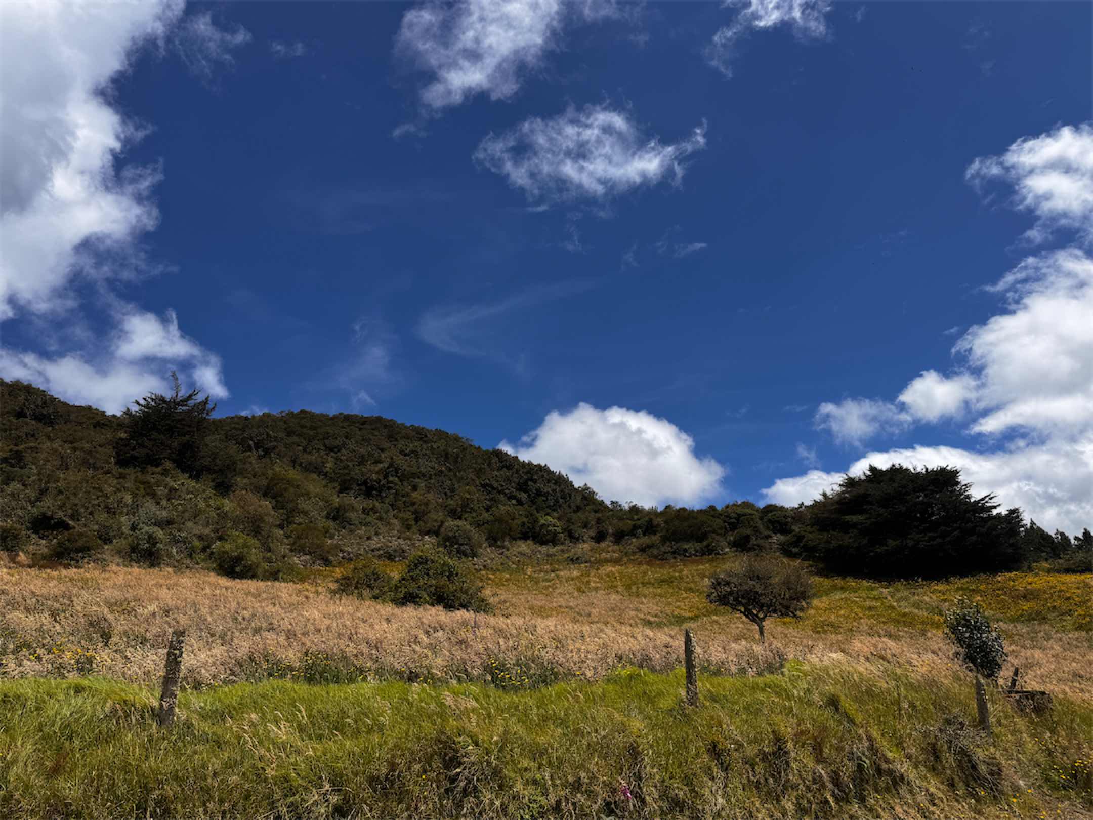 El mejor lugar para la casa de tus sueños junto al colegio de tus hijos, El Salitre, La Calera – Cund.