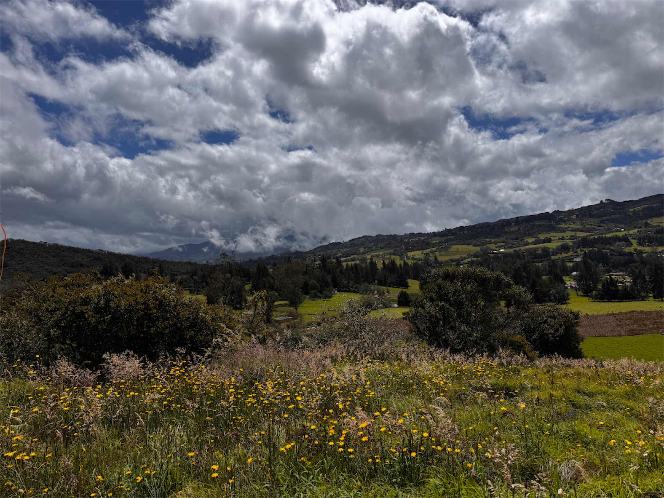 El mejor lugar para la casa de tus sueños junto al colegio de tus hijos, El Salitre, La Calera – Cund.