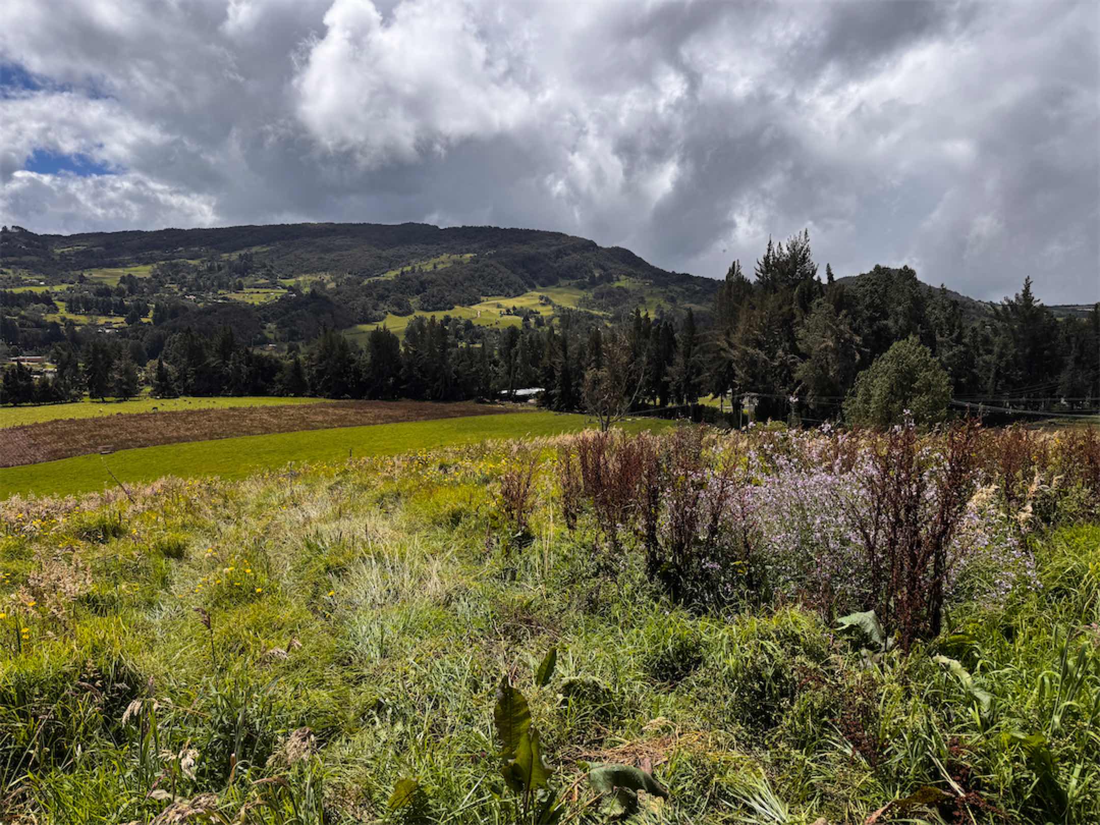 El mejor lugar para la casa de tus sueños junto al colegio de tus hijos, El Salitre, La Calera – Cund.