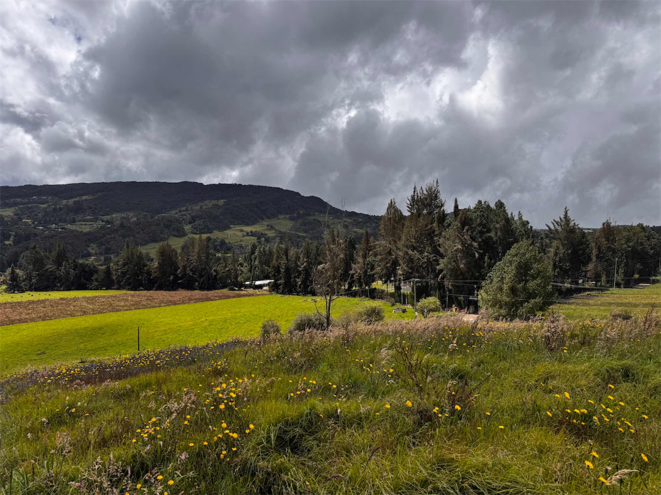 El mejor lugar para la casa de tus sueños junto al colegio de tus hijos, El Salitre, La Calera – Cund.